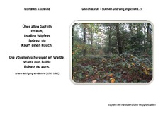 Wanderers-Nachtlied-Goethe.pdf